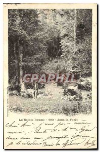 Old Postcard La Sainte Baume in the Forest