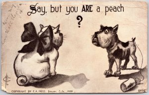 1910's Say But You Are A Peach Cat & Dog Comic Funny Posted Postcard