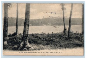 1910 Hotel Breslin From Chestnut Point Lake Boat Hopatcong NJ Antique Postcard 