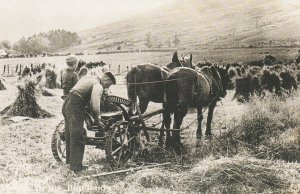 AT WORK IN THE HIGHLANDS 1912 - Nostalgia Postcard Series