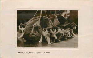 C-1910 Frame Like multiple Cats bags King Brothers Postcard 12173