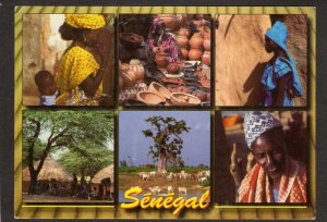 Senegal Crafts Herds African Native Women Huts Africa Postcard