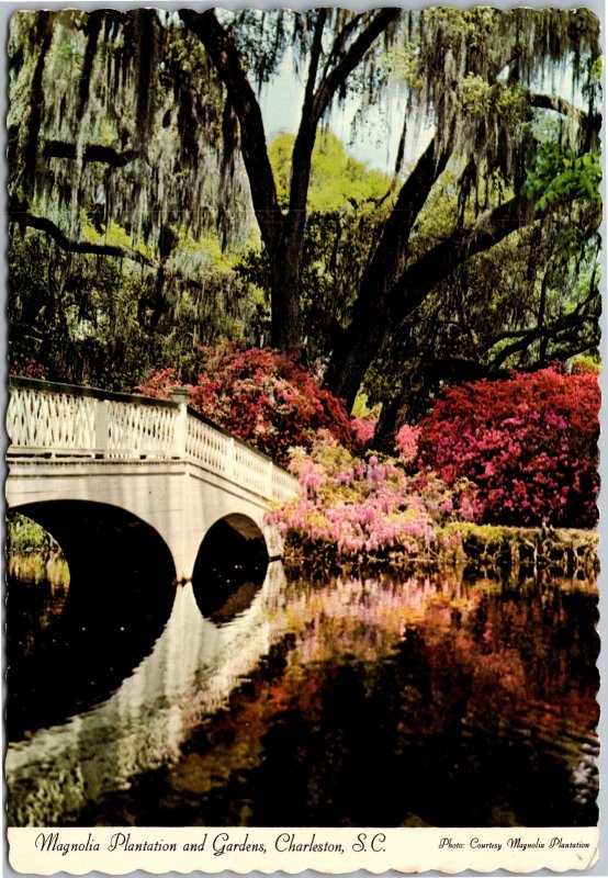 Postcard SC Charleston Magnolia Plantation and Gardens