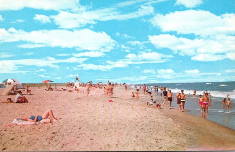 Virginia Chincoteague-Assateague Beach