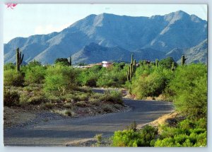 1991 Curve Road Scene Frank Lloyd Wright Phoenix Arizona AZ Vintage Postcard