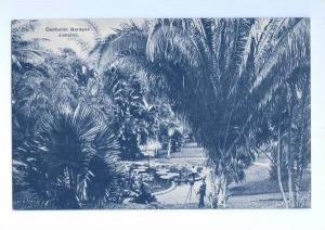 LP60   Antilles,Jamaica, Postcard, Castleton Gardens