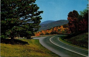 Autumn Scene Skyline Dr Virginia VA Postcard UNP VTG Mike Roberts Unused Vintage 