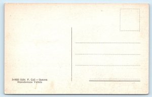 Genova Genoa - Panorama e Porto - ITALY Postcard