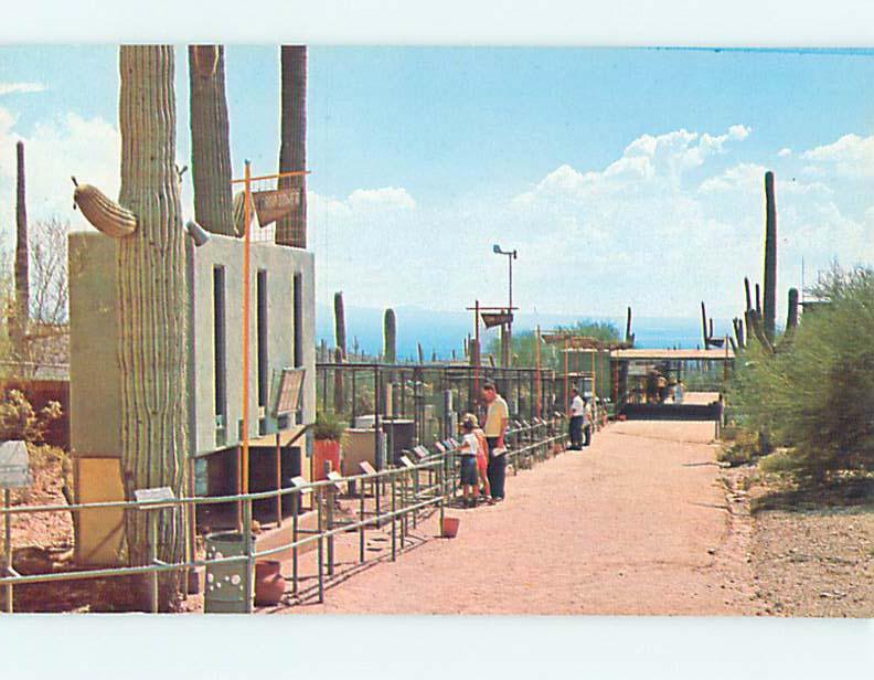 Unused Pre-1980 MUSEUM ON WATER STREET Tucson Arizona AZ hr0265