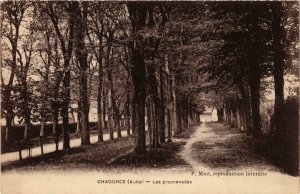 CPA Chaource- Les promenades FRANCE (1007388)