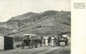 Ascension Island, View from Foot of Green Mountain, Horse Cart (1900s) Postcard