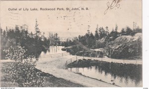 ST JOHN, New Brunswick, Canada, PU-1907 ; Lily Lake outlet , Rockwood Park