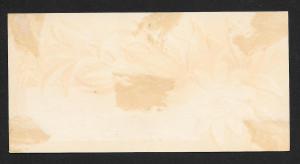 VICTORIAN TRADE CARD Yates & Co Boys' Clothing Flower & Leaves