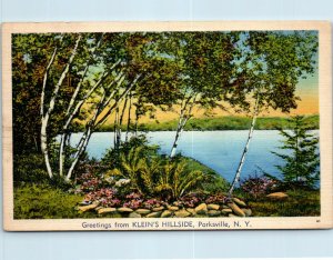 1940s Greetings from Klein's Hillside Parksville NY Catskills Postcard