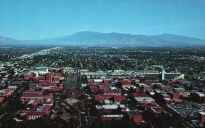 Vintage Postcard University Of Arizona Residential Neighborhood Tucson Arizona