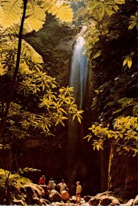 West Indies Montserrat Great Alps Waterfall