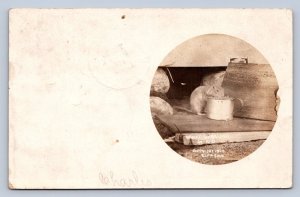 J95/ North Dakota RPPC Postcard c1910 Rodent Sqiurrel Stealing Wheat 213