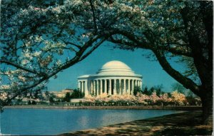 Jefferson Memorial Japanese Cherry Tree Tidal Basin 15c Stamp Postcard Vintage 