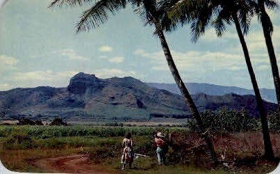 Sleeping Giant Mountain - Kauai, Hawaii HI