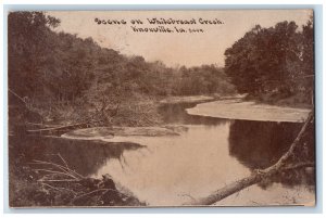 1912 Scene On Whitebreast Creek  Nature View Knoxville Iowa IA Antique Postcard