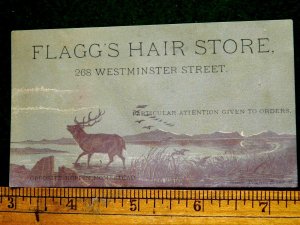 1870s-80s Flagg's Hair Store, 268 Westminster St, RI, Elk Birds Trade Card F6