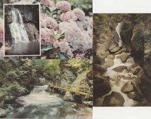 (3 cards) Thunder Gorge and Laurel Glen - Bushkill Falls PA, Pennsylvania