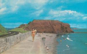 Langstone Rock Dawlish Devon 1970s Postcard