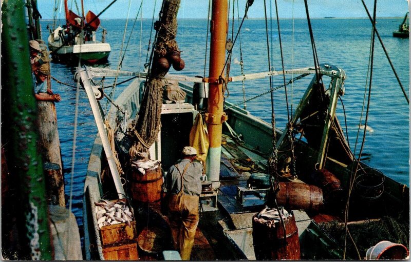 Unloading Fish Cape Cod Fishing Boat Postcard VTG UNP Dexter Vintage Unused 