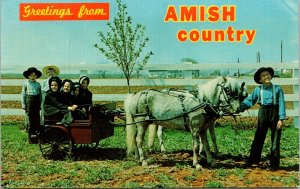 Greetings From Amish Country Pony Cart Children White Fence VTG Postcard UNP 