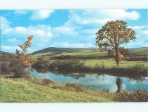 Pre-1980 RIVER SCENE Cape Breton - Near Sydney Nova Scotia NS AE6106@