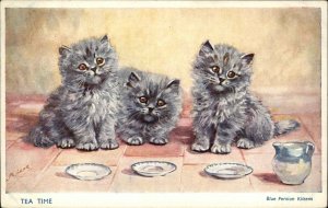 M. Gear Fluffy Gray Blue Persian Kittens Cats China Saucers Vintage Postcard
