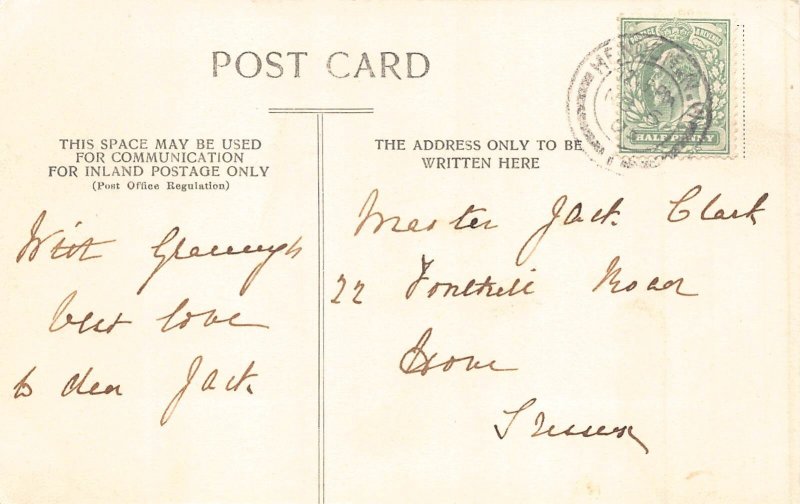 Animals Anthropomorphic Humanized Monkey Teacher Cat Students 1905 postcard B920