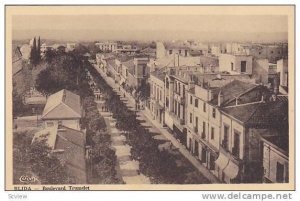 Boulevard Trumelet, Blida, Africa, 1900-1910s
