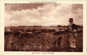 CPA La Bourgogne Pittoresque - BEAUNE - Vieux Berger (586667)