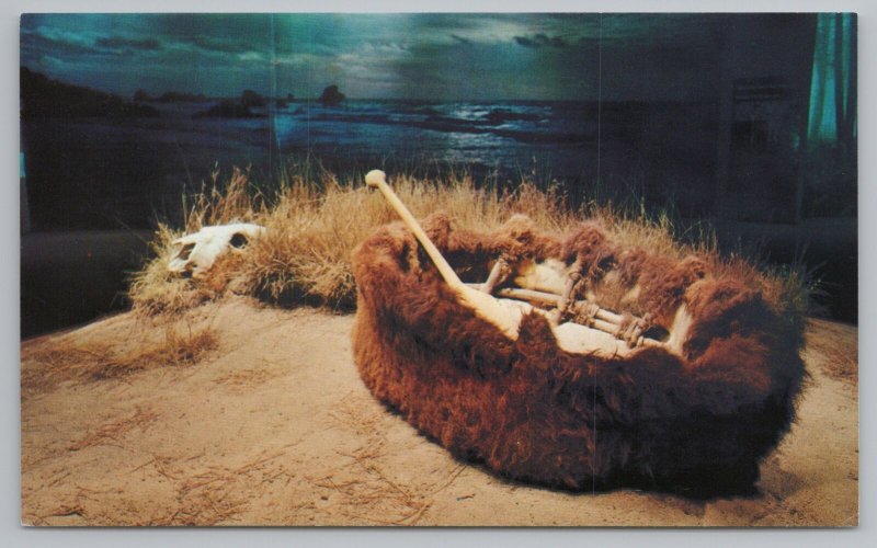 St Louis Missouri~Bullboat Display~Museum Of Westward Expansion~Vintage Postcard