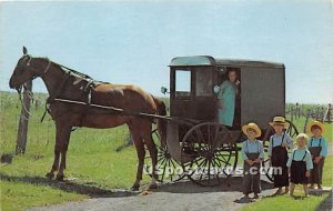 Group of Amish Children - Amish Country, Pennsylvania