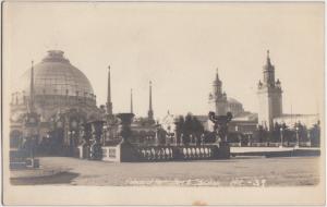 California Postcard Panama–Pacific International Exposition RPPC Horticulture 39