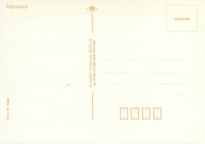 Animal insects Postcard Rosalia Alpina bug