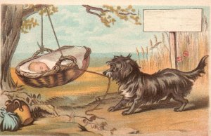 1880s-90s Dog Rocking Baby to Sleep in Tree using a Rope Trade Card