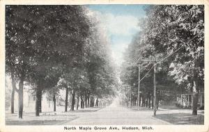 Hudson Michigan North Maple Grove Avenue Antique Postcard K89781