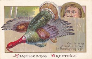 Thanaksgiving Greetings Man Watching Turkey 1911