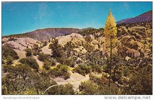 California Pearblossom The Devils Punchbol On The Southern Rim Of Antelope Va...