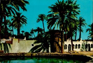 IMN04878 africa libya tripoli traditional african architecture palmtrees 