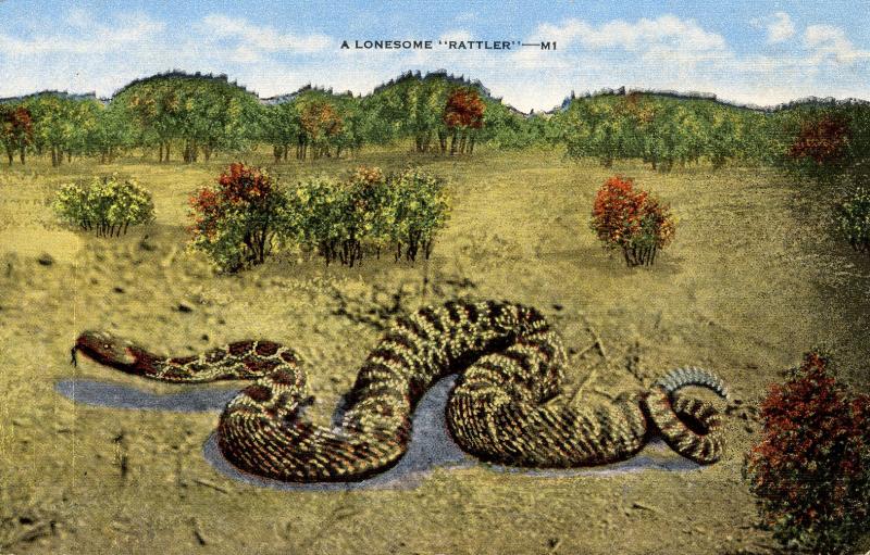 Rattlesnake 