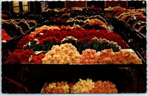 M-18974 Interior flower auction Aalsmeer Netherlands