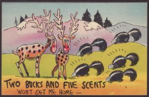 Two Bucks and Five Scents,Deer,Skunks Comic Postcard