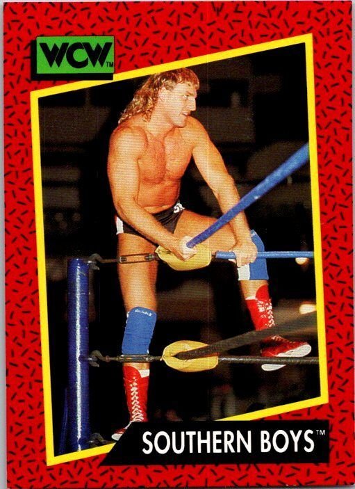 1991 WCW Wrestling Card Southern Boys Steve Armstrong Tracy Smothers sk21229