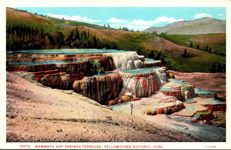 Yellowstone National Park Mammoth Hot Springs Terraces Haynes Photo