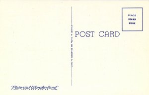 Linen Era Large Letter Big Trees, Santa Cruz County CA, Old Postcard