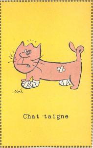 Chat Taigne Cat Unused 